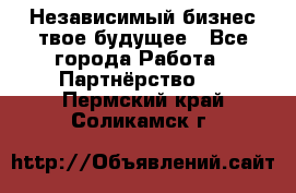 Независимый бизнес-твое будущее - Все города Работа » Партнёрство   . Пермский край,Соликамск г.